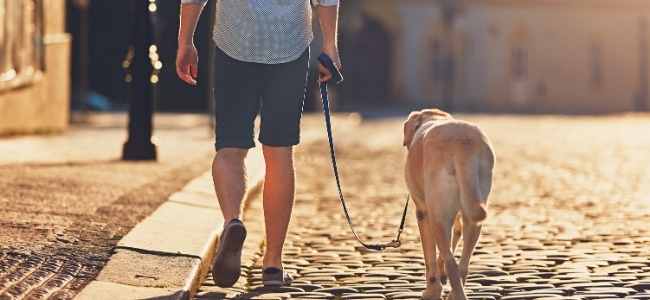 5 Health Benefits of Walking Daily