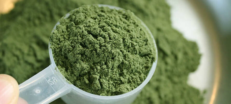 All you Need to Know about Green Supplement